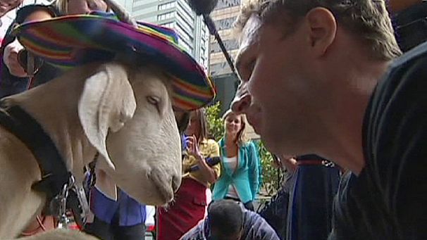 Flower-eating goat wins case