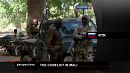 perspectives: Mali civilians fault own army