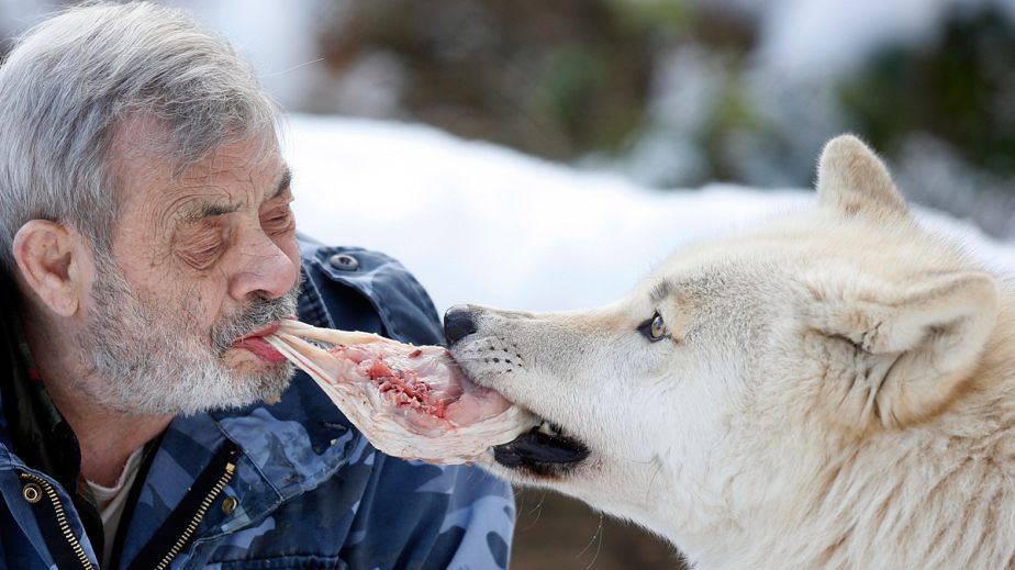 The wolf man The wolf man
