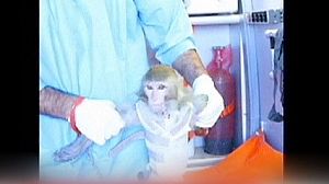 Iran’s space monkey claim