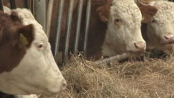 Ireland urges EU to move forward on future farming policy