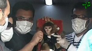 Iran’s space monkey causes a global stir