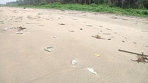 Shell found ‘partially responsible’ for Niger Delta oil spill