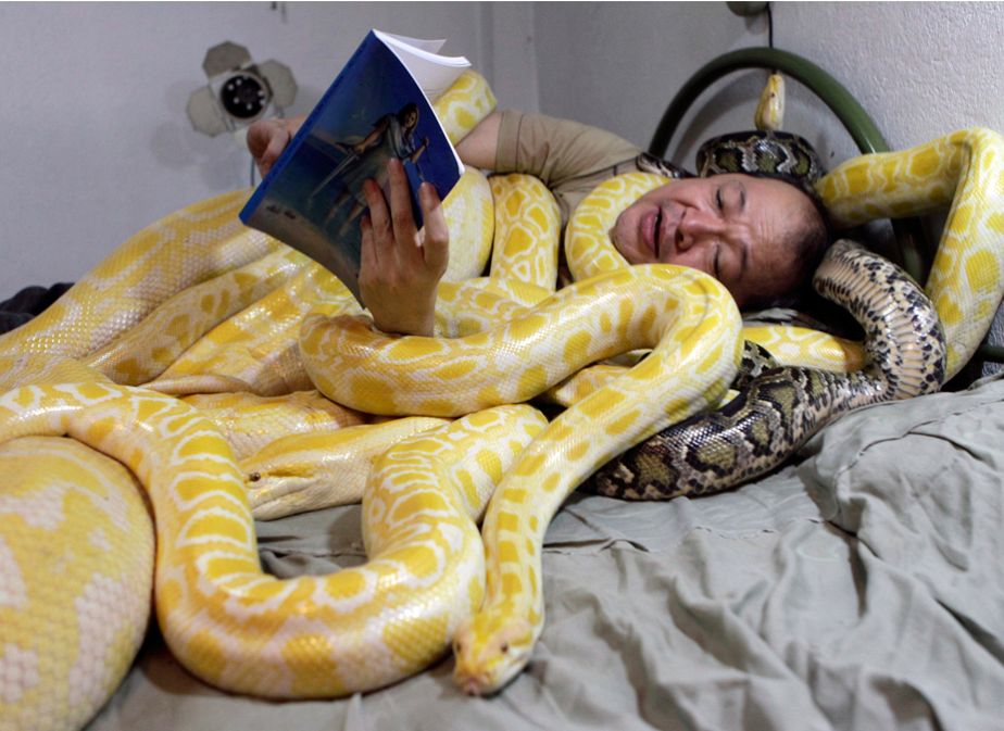 The year of the snake The year of the snake