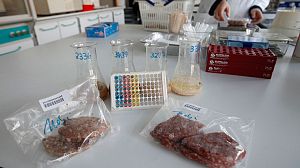 Still more horse meat found in European ‘beef’ products