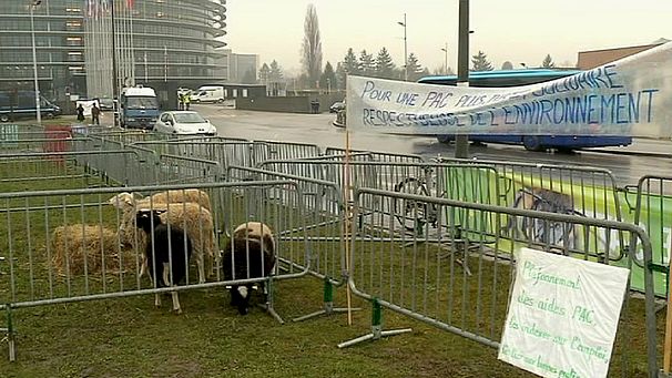 Small farmers protest over ‘unfair’ EU farm subsidies