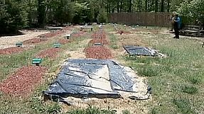 Boston bomb suspect buried in Virginia