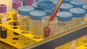 El coronavirus podría contagiarse de persona a persona