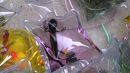 world China: live turtles in bags sold as key rings