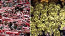 world German football giants to do battle on English soil