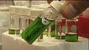 science: Biofuel-ling change with tobacco