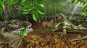 Giant lizard fossil named after Jim Morrison