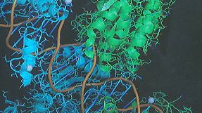 Human DNA cannot be patented US supreme court rules