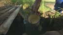 Drought alert in Africa