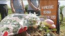 Bosnia: funeral of a baby who died for lack of ID