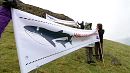 Animal welfare groups condemn Iceland as it resumes whaling