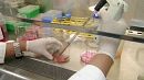New MERS virus more deadly than SARS