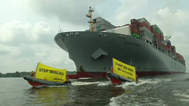 “Stop hunting threatened fin whales,” Greenpeace activists rally at Hamburg port