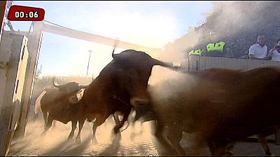 Running of the bulls – nocomment Running of the bulls – nocomment