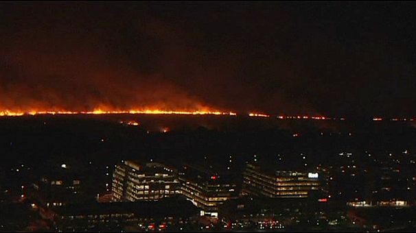Buenos Aires ecological ‘lung’ is partly destroyed by fire