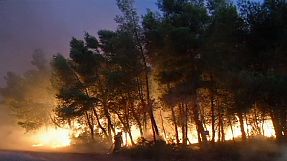 Alerta en Grecia por los incendios