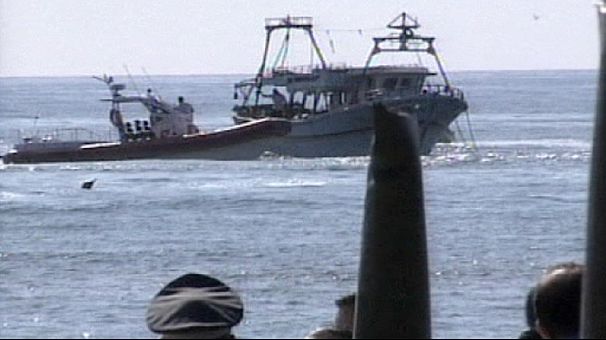 Migrants killed in Italian shipwreck