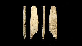 Hallan instrumentos neandertales iguales a los de hoy en día