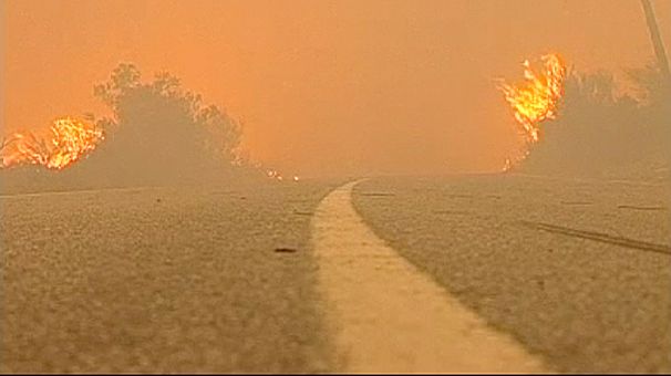 Portugal burns as wildfires rage
