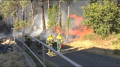 Forest fires continue to flare up in Spain Forest fires continue to flare up in Spain