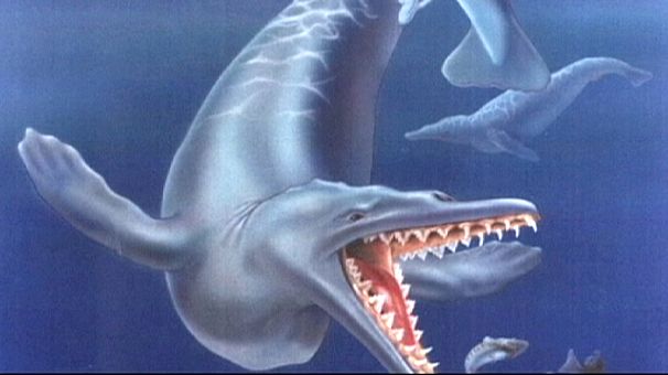 Peru discovers whale fossils in desert dating back 40 million years