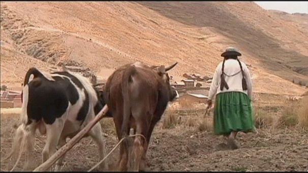Consecuencias del deshielo de los glaciares en Bolivia