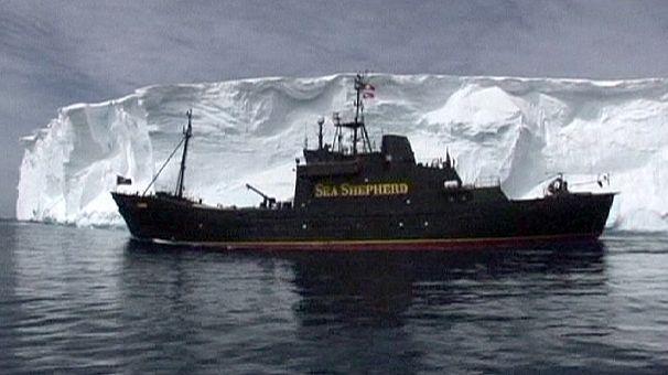 Sea Shepherd founder in court in Seattle after Japanese whalers threaten fines