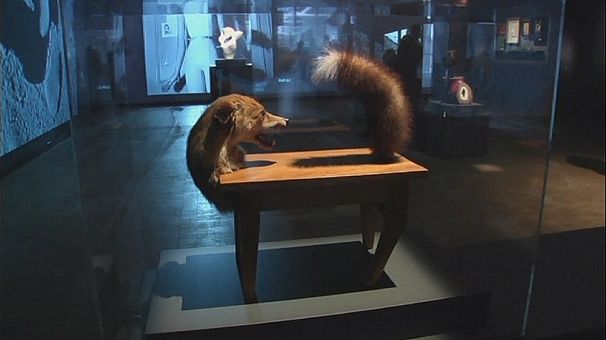 ‘Surrealism & the Object’ opens at Pompidou Centre in Paris