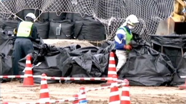 Japan postpones removal of Fukushima atomic fuel rods