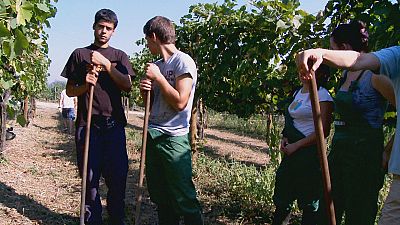 Scuola: un banco tra i campi agricoli Scuola: un banco tra i campi agricoli