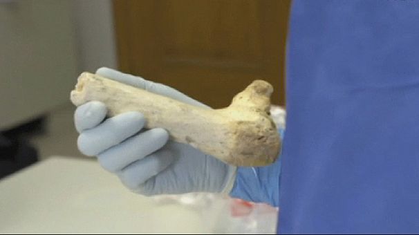Oldest human DNA yields more questions than answers