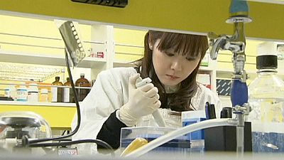 Japanese scientists discover new speedy way to create stem cells Japanese scientists discover new speedy way to create stem cells