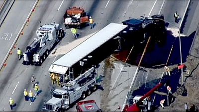 Usa. A Los Angeles si rovescia tir con 19 tonnellate di miele Usa. A Los Angeles si rovescia tir con 19 tonnellate di miele