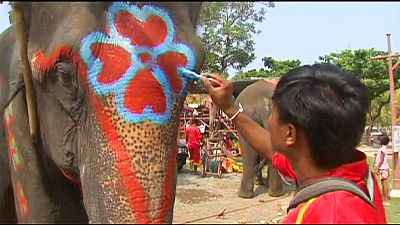 Elephant water fight in Thailand – nocomment Elephant water fight in Thailand – nocomment