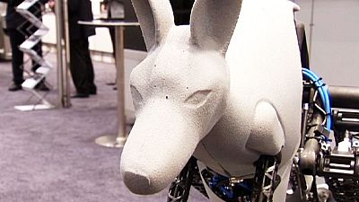 Bionic Kangaroo – nocomment Bionic Kangaroo – nocomment