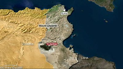 Soldier killed in mine explosion on Tunisian-Algerian border Soldier killed in mine explosion on Tunisian-Algerian border