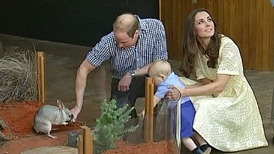 Duke and Duchess of Cambridge spend Easter Sunday at the zoo Duke and Duchess of Cambridge spend Easter Sunday at the zoo
