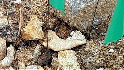 Exhumations at suspected Serbia mass grave begin Exhumations at suspected Serbia mass grave begin