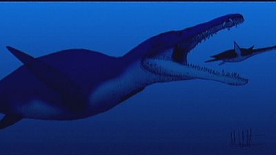 The pliosaur which could smell like a crocodile and swallow a cow in one bite The pliosaur which could smell like a crocodile and swallow a cow in one bite