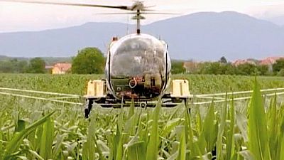 EU ministers reach GMO crop deal EU ministers reach GMO crop deal