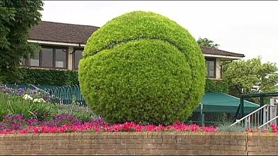Wimbledon prepares for a classic grand-slam showdown Wimbledon prepares for a classic grand-slam showdown