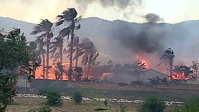 Forest fire in Turkey destroys 125 hectares of forestland – nocomment Forest fire in Turkey destroys 125 hectares of forestland – nocomment