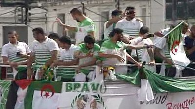 Algeria toasts World Cup team – nocomment Algeria toasts World Cup team – nocomment
