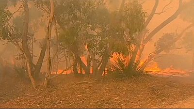 Two people missing as South Australia wildfires destroy more homes Two people missing as South Australia wildfires destroy more homes