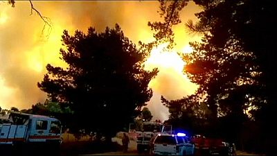 South Australia hopes for weather break as fires rage near Adelaide South Australia hopes for weather break as fires rage near Adelaide